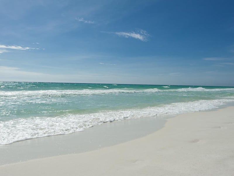 shoreline of the Gulf of Mexico